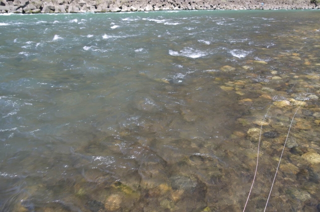 IMGP2871_S