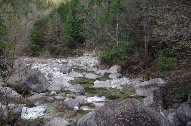 IMGP2994_S