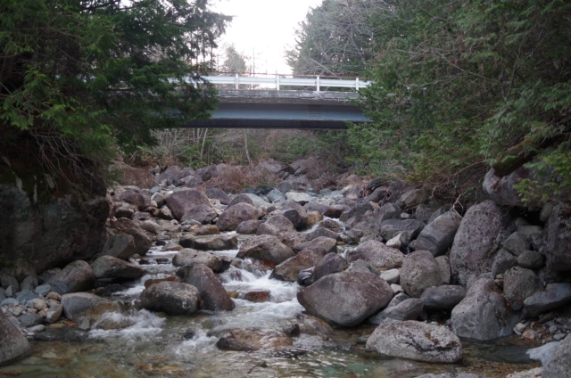 IMGP3003_S