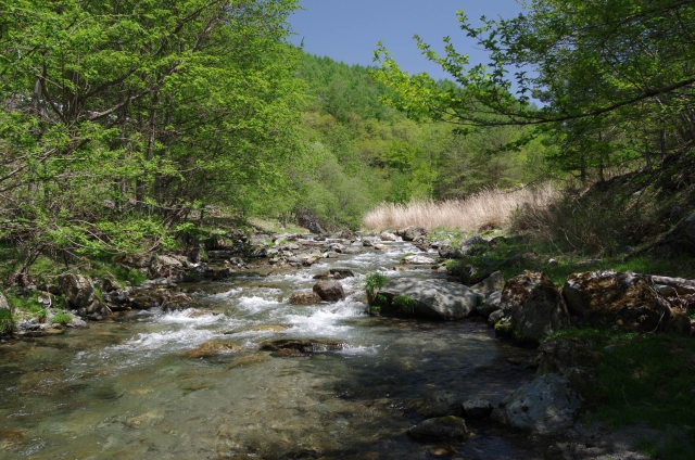 IMGP3026_S