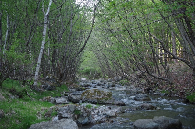IMGP3093_S