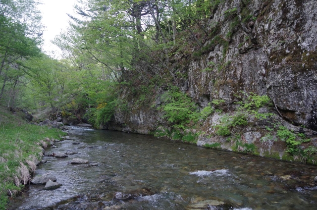 IMGP3094_S