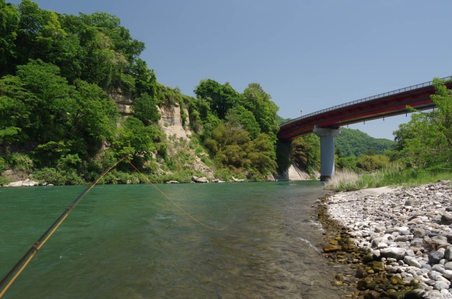 IMGP3115_S