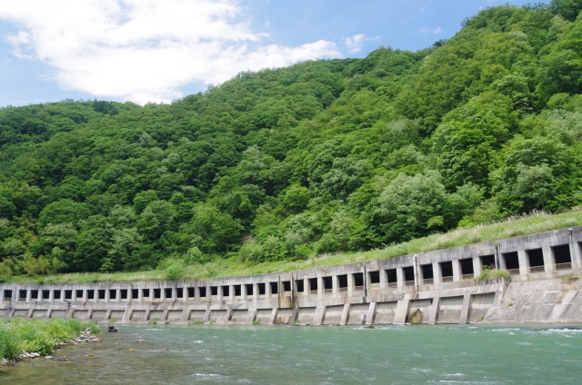 IMGP3138_S