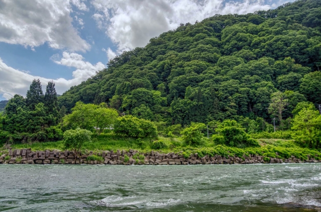 IMGP3145_hdr_mode_1_S