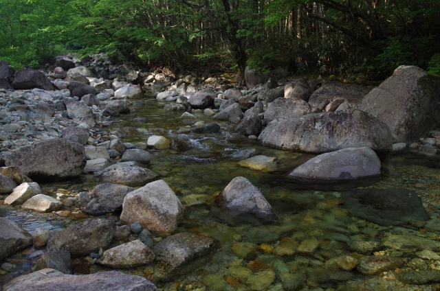 IMGP3335_S