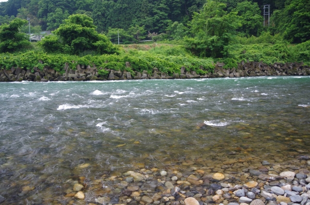 IMGP3439_S