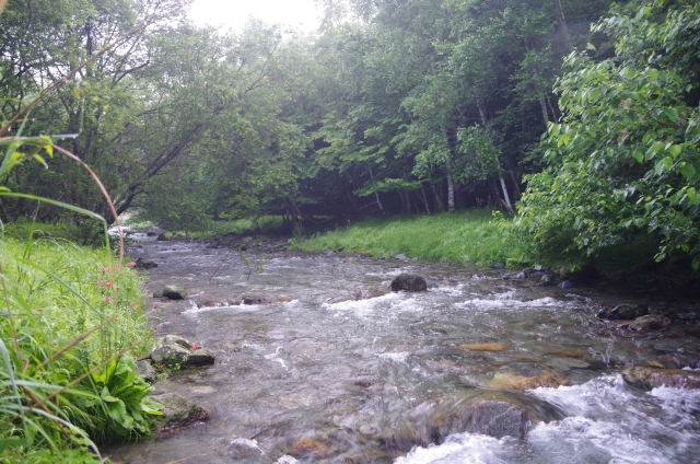 IMGP3574_S