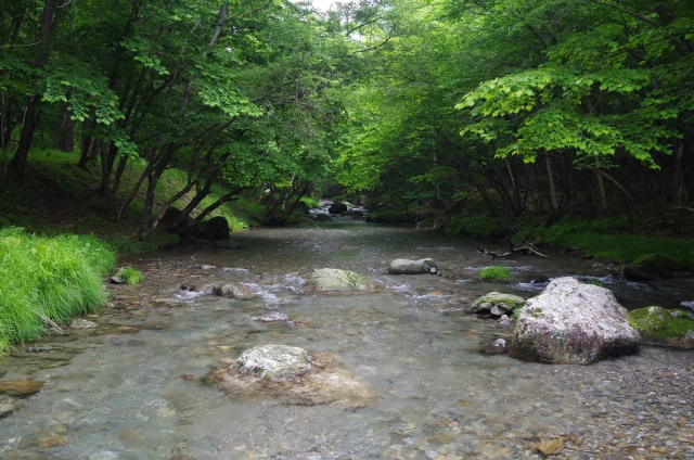 IMGP3648_S
