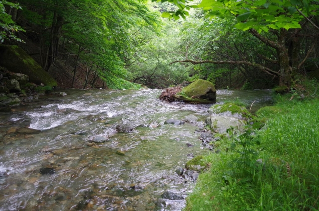 IMGP3683_S