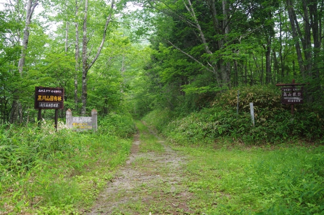 IMGP3688_S