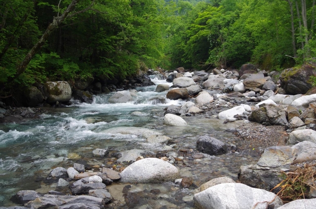 IMGP3697_S