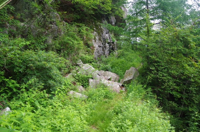 IMGP3804_S