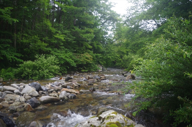 IMGP3871_R
