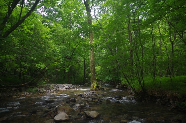 IMGP3907_R