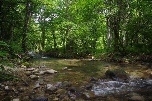 IMGP3923_R