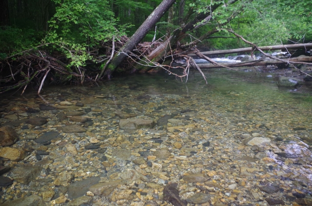 IMGP3946_R