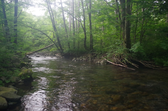 IMGP3948_R