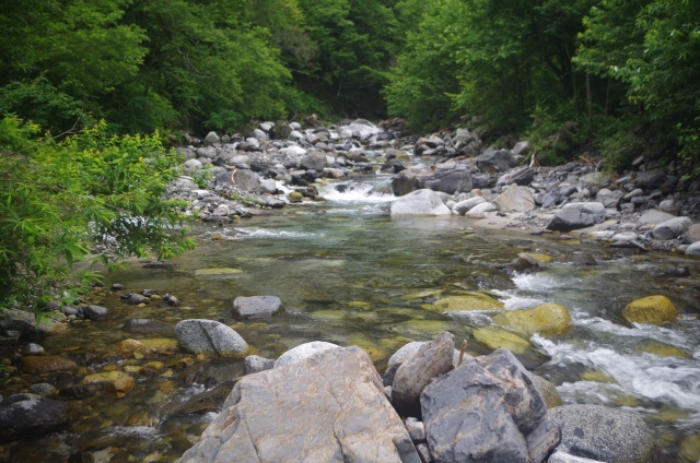 IMGP3982_R