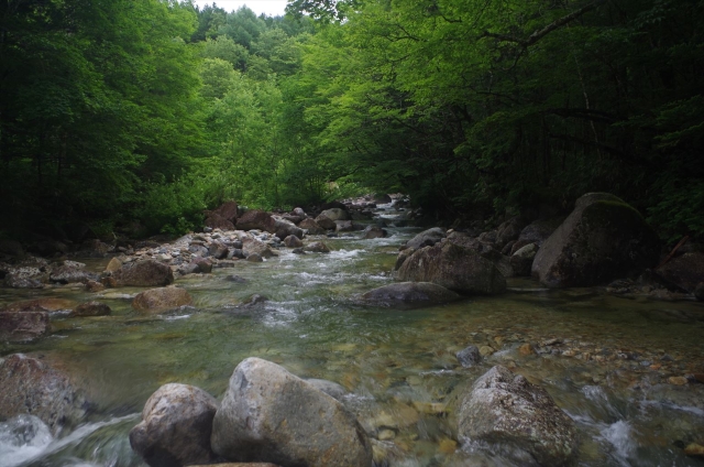 IMGP4089_R