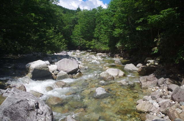 IMGP4145_R