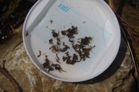 IMGP0681_R
