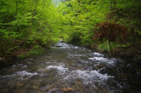 IMGP0912_R