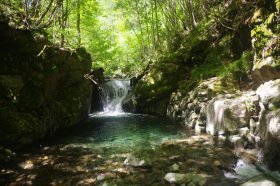IMGP0929_R