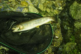 IMGP0956_R
