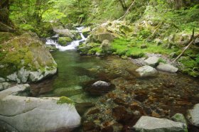 IMGP1148_R