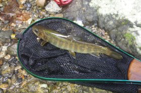IMGP1205_R