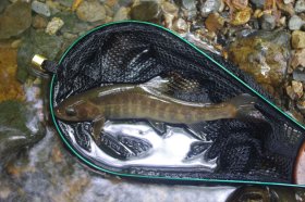 IMGP1228_R