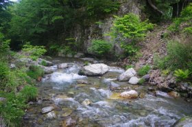 IMGP1331_R