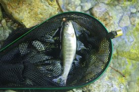 IMGP1352_R