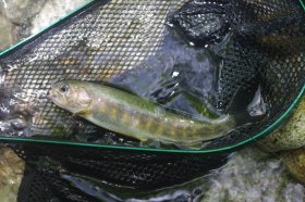IMGP1369_R