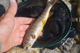 IMGP1394_R