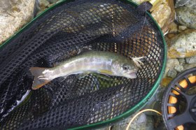 IMGP1426_R