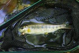 IMGP1486_R