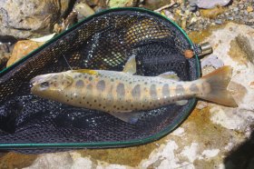 IMGP1502_R