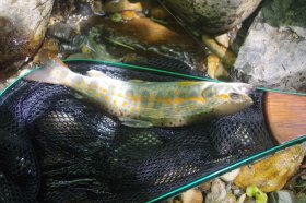 IMGP1516_R
