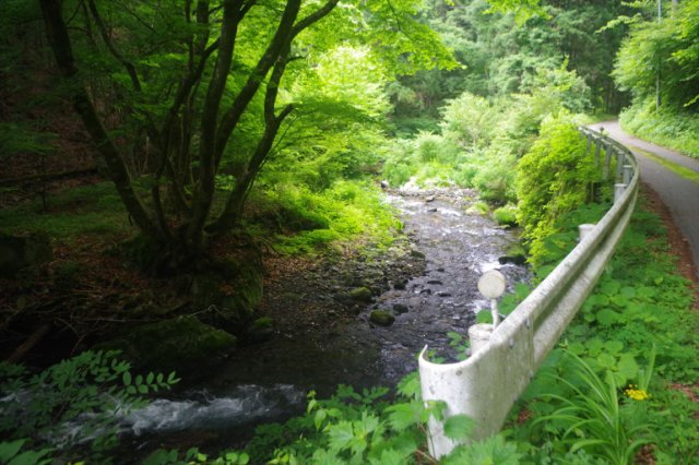 IMGP1593_R