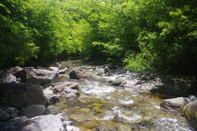 IMGP1655_R