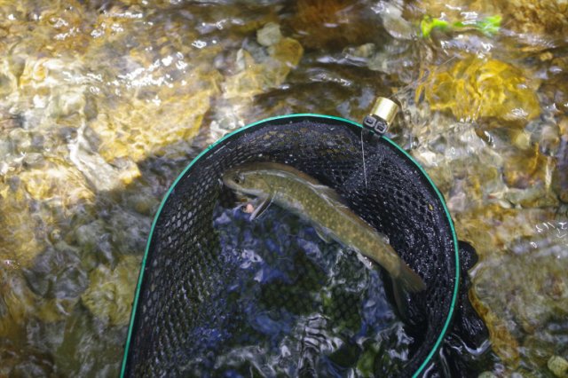 IMGP1683_R