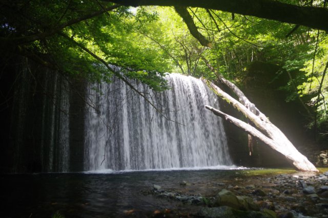 IMGP1731_R