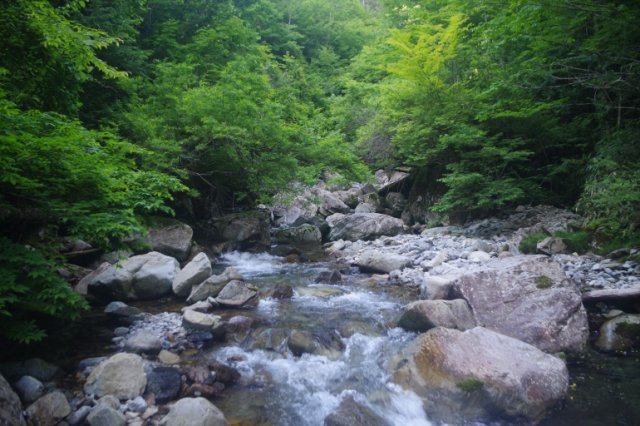 IMGP1766_R