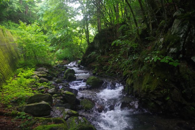 IMGP1788_R