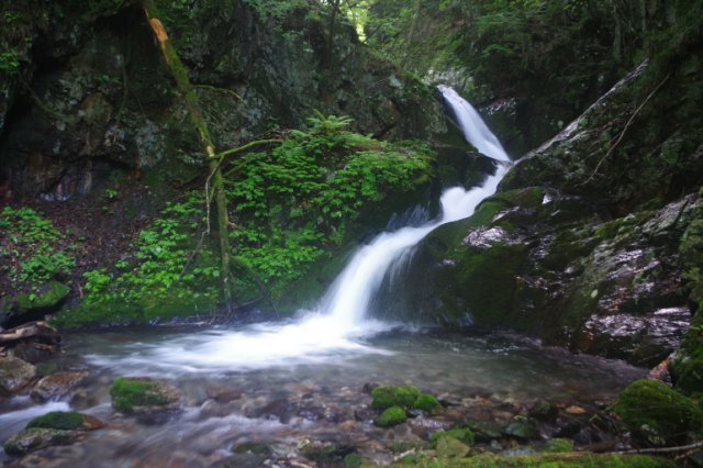 IMGP1837_R
