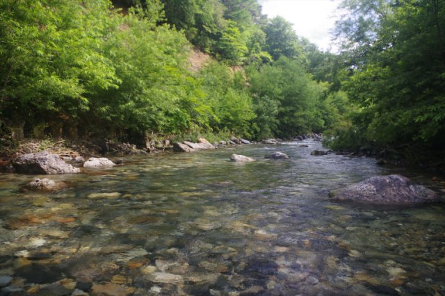 IMGP1877_R