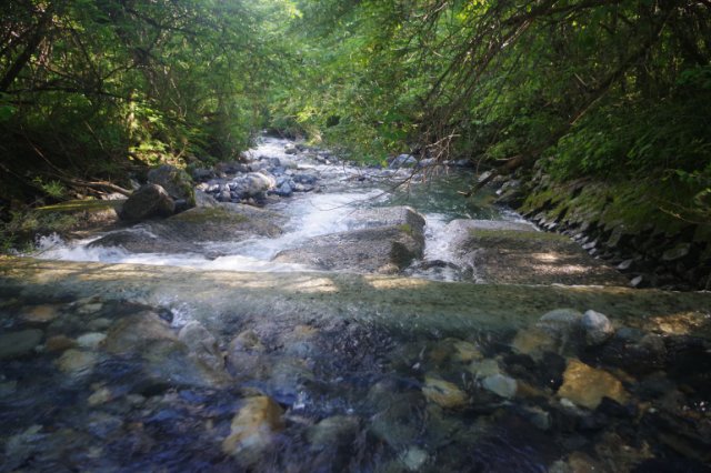 IMGP1942_R