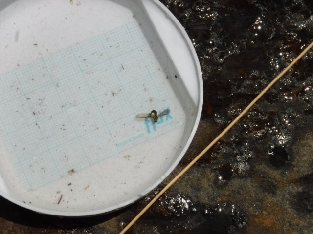 DSCF0116_R
